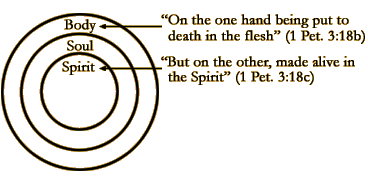 The Process of His Resurrection